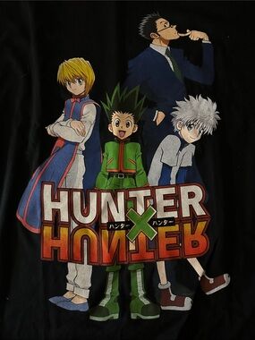 Hunter x Hunter, anime Graphic Tee with Multicolor Character Art